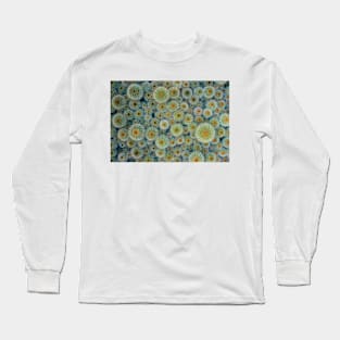 Notocactus leninghausii (B620/0637) Long Sleeve T-Shirt